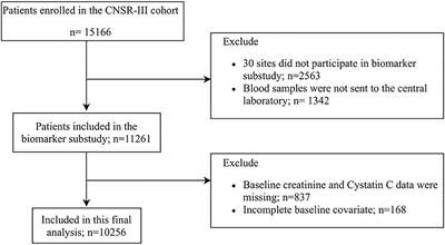Serum Cystatin C Predicts Stroke Clinical Outcomes at 1 Year Independent of Renal Function